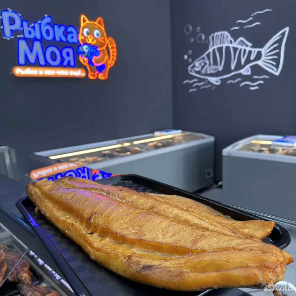 Масленая Рыба (Эсколар )